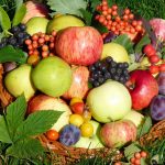 10 самых популярных фруктов для садоводства в средней полосе — выберите лучшие культуры для успешного выращивания в нашем регионе